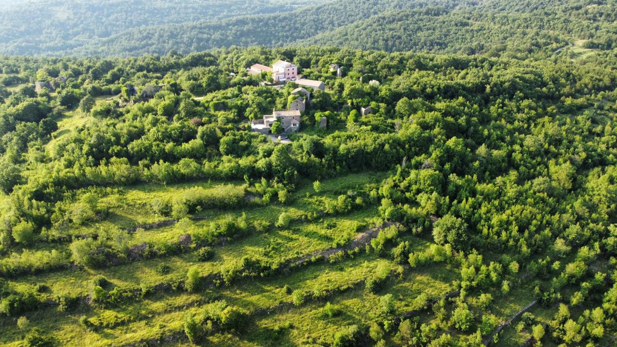 Casa Del Conte - Peaceful Hideaway In North Istria Villa Grožnjan Buitenkant foto